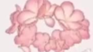 【她万曲兼容】新装和旧曲更配哦